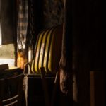 Skozi virtualni svet rudarstva