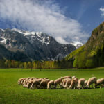 Obiščite dolino Zgornjesavinjskega želodca!