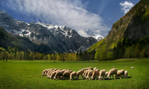 Obiščite dolino Zgornjesavinjskega želodca!