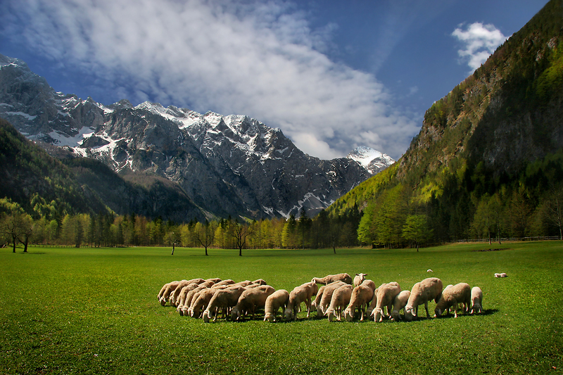Obiščite dolino Zgornjesavinjskega želodca!