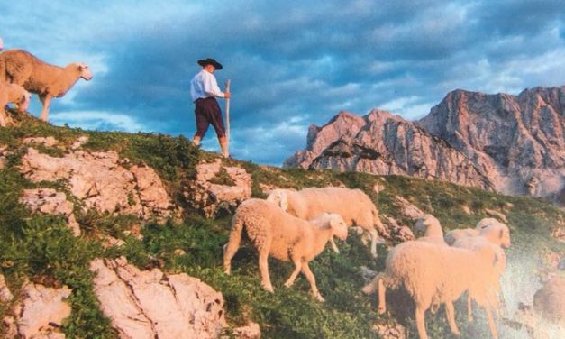 Odličen kraj za izlet v naravi