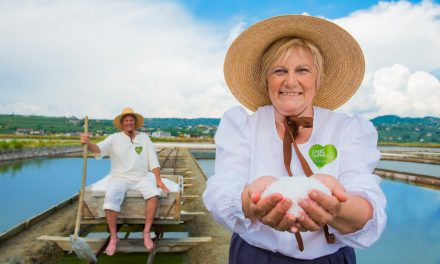 BREZPLAČNO: Priročnik dobra ideja za izlet in počitnice!