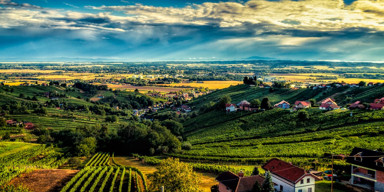 Stolp in Hotel Vinarium vabita v osrčje vinogradov