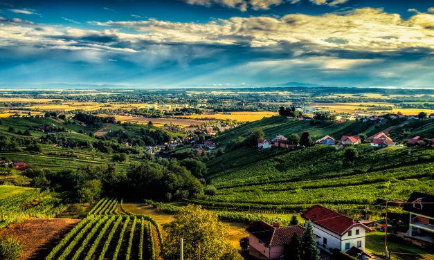 Stolp in Hotel Vinarium vabita v osrčje vinogradov
