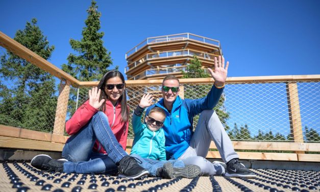 Izbrali smo 10 TOP novosti, ki jih v letu 2020 ne spreglejte.