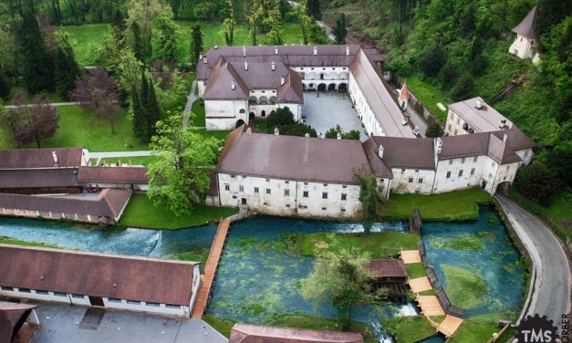 Delavnica peke kruha ali pletenje košar?