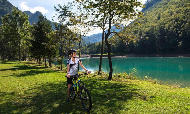 Pot kulturne dediščine Žirovnica