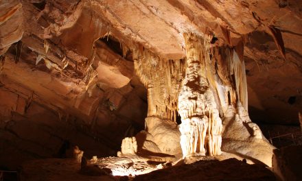 Županova jama se vrača! Od 16. maja ponovno vabijo na vodene oglede.