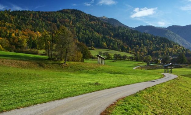 Kamorkoli greš imej odprto srce. Obišči Cerklje.