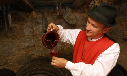 Matjaževa domačija & zidanice Škatlar