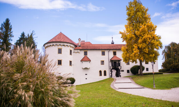 NA OBISK K LITIJSKIM  RUDARJEM IN  OGLARJEM