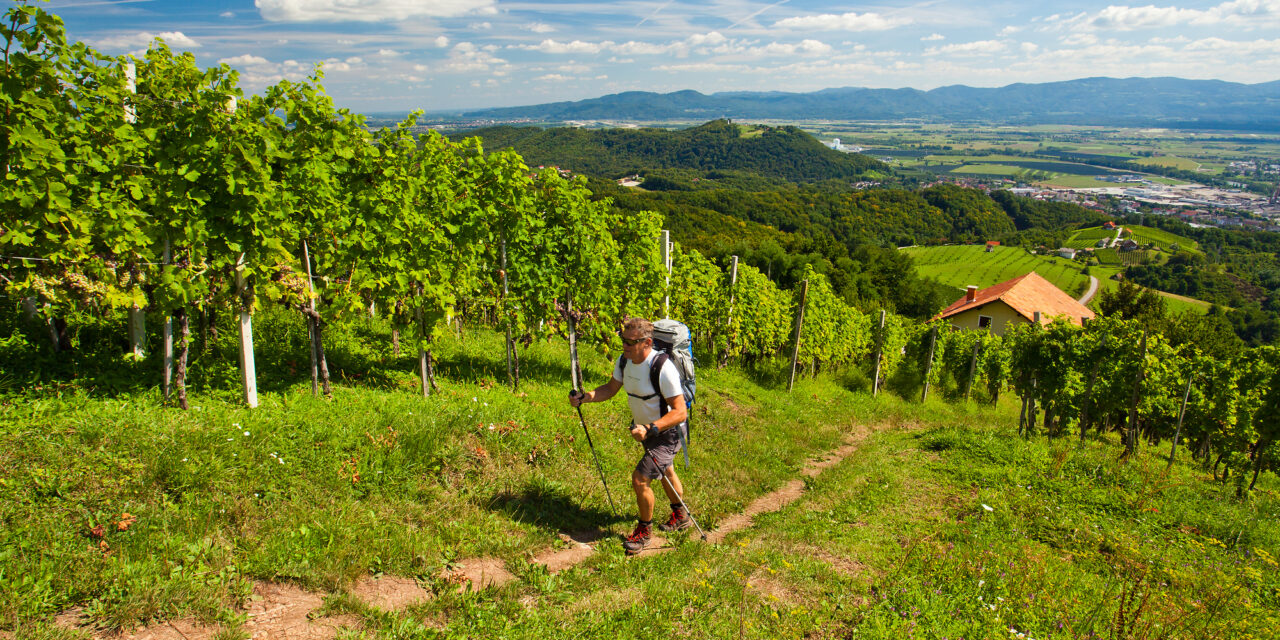 V KRŠKO PO ENERGIJO KULTURE IN NARAVE TER ENERGIJO OKUSOV!