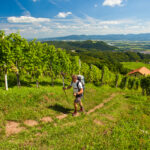 V KRŠKO PO ENERGIJO KULTURE IN NARAVE TER ENERGIJO OKUSOV!