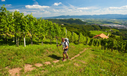 V KRŠKO PO ENERGIJO KULTURE IN NARAVE TER ENERGIJO OKUSOV!