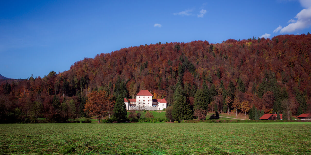 MUZEJ NA PROSTEM IN  DVOREC STRMOL ROGATEC
