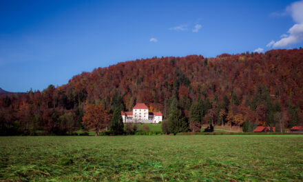 MUZEJ NA PROSTEM IN  DVOREC STRMOL ROGATEC