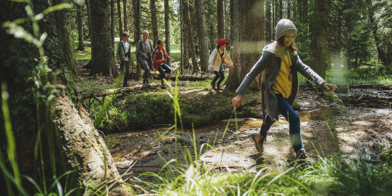 ILIRSKA BISTRICA  V SRCU MATERE NARAVE