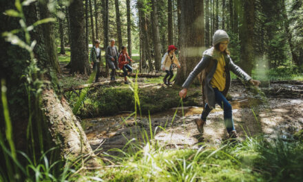ILIRSKA BISTRICA  V SRCU MATERE NARAVE