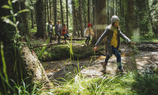 ILIRSKA BISTRICA  V SRCU MATERE NARAVE