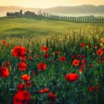 Zakaj je Italija idealna destinacija za prvomajske praznike